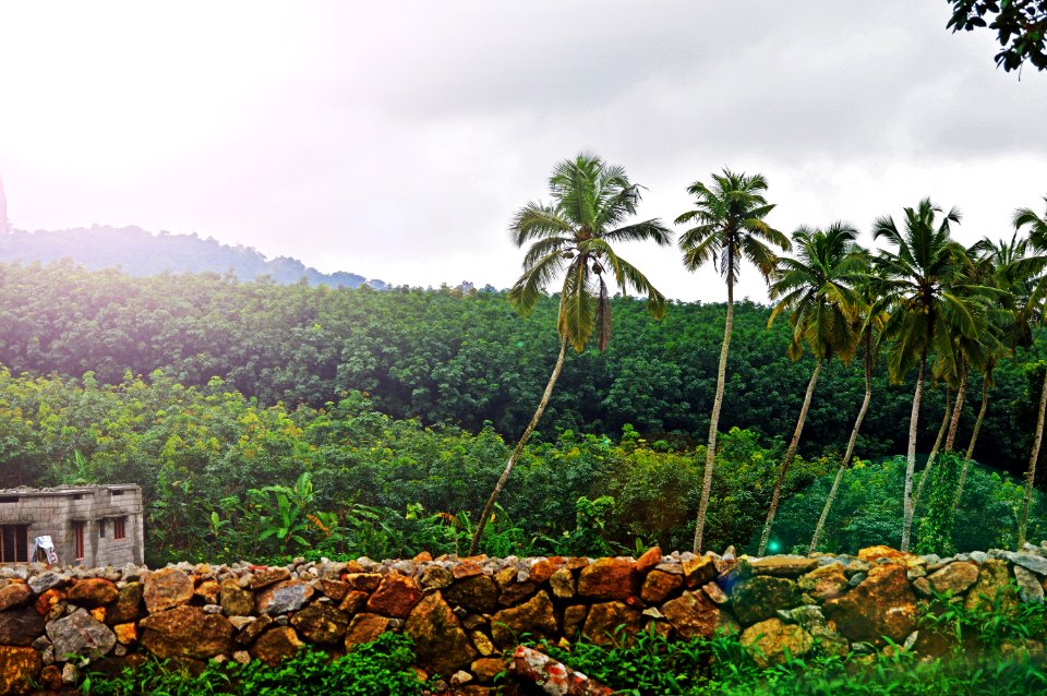photography of mountain near grey concrete house