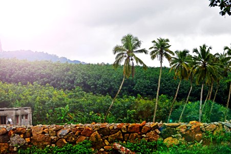 photography of mountain near grey concrete house