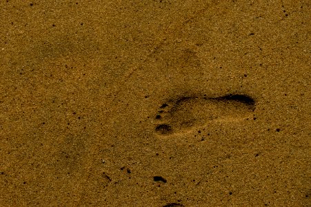 Varkala, India, Footprint