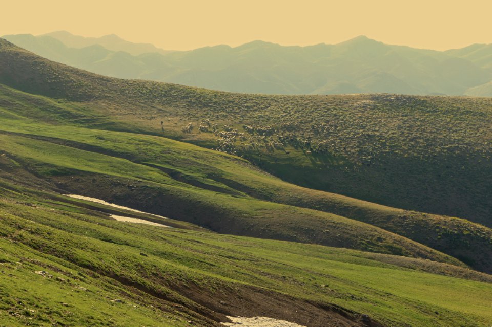 Turkey, Horizon, Nature