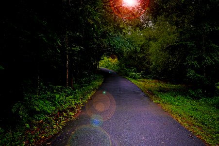Heaven, Road, Trees