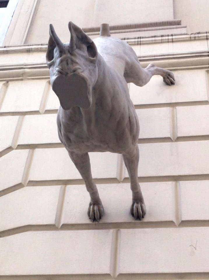 Conduit street stop n, Mayfair, London