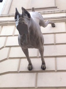 Conduit street stop n, Mayfair, London