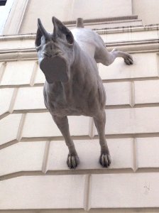 Conduit street stop n, Mayfair, London photo