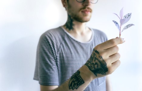 man wearing shirt holding white leafed plant