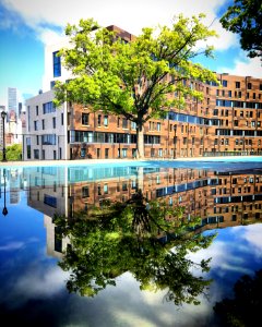 Home, Brooklyn heights, New york photo