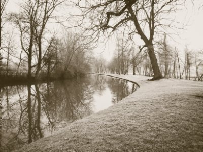 Oxford, United kingdom, Trees