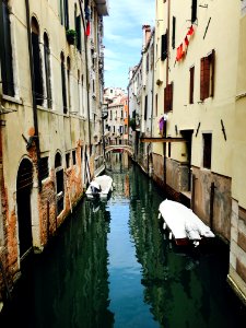 Italy, Metropolitan city of venice, Venice