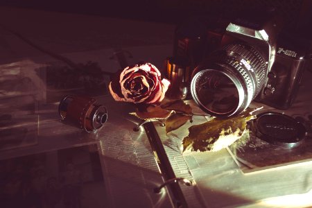 MILC camera beside red rose photo