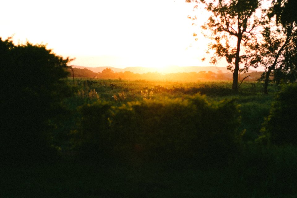 Glendale, Zimbabwe, Africa