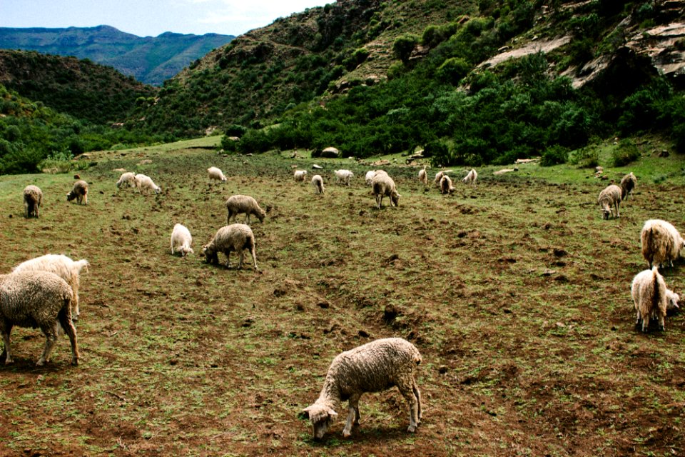 Malealea, Lesotho, Africa
