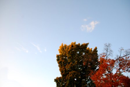 Fayetteville, United states, Anna clark