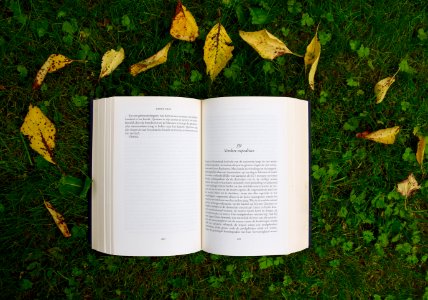 opened book on grass during daytime photo