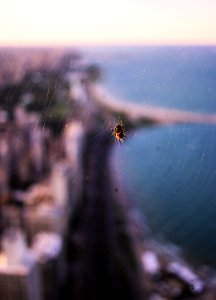 Chicago, 360 chicago observation deck, United states