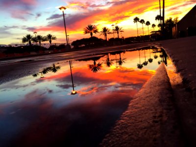 1486 buena vista dr, Orl, United states