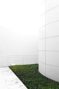 terrace with plant field