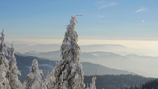 Germany, B500, 77889 seebach