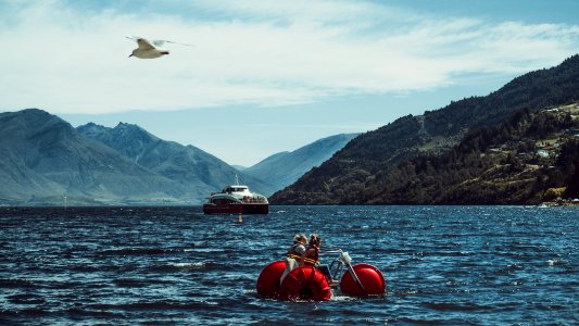 Queenstown, New zeal, Scape photo