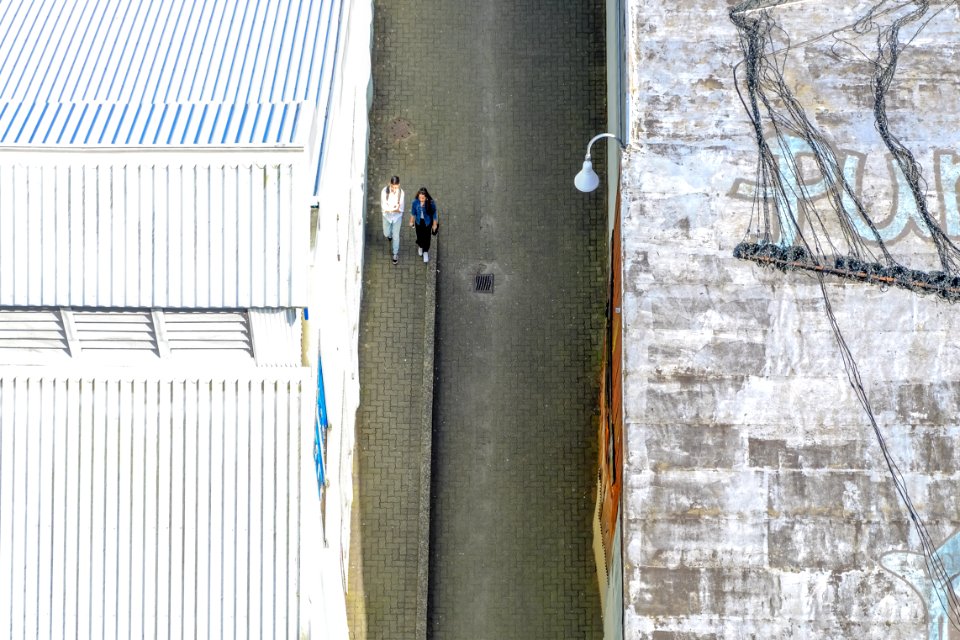 two women walking on road between houses