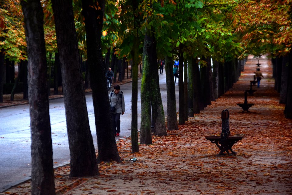 Retiro, Madrid, Spain