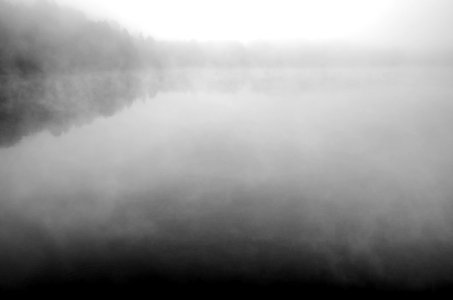 Fog, Lake photo
