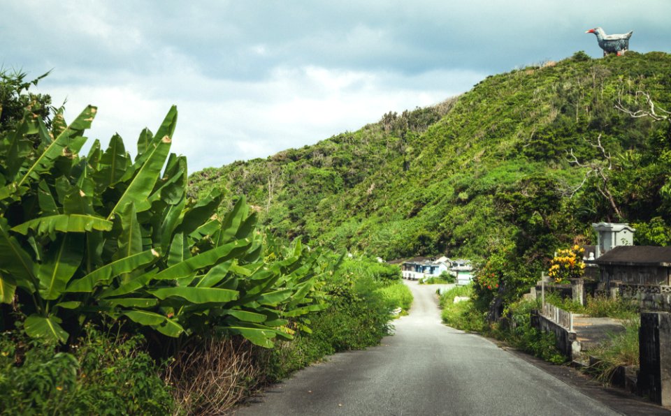 Okinawa prefecture, Japan, Small