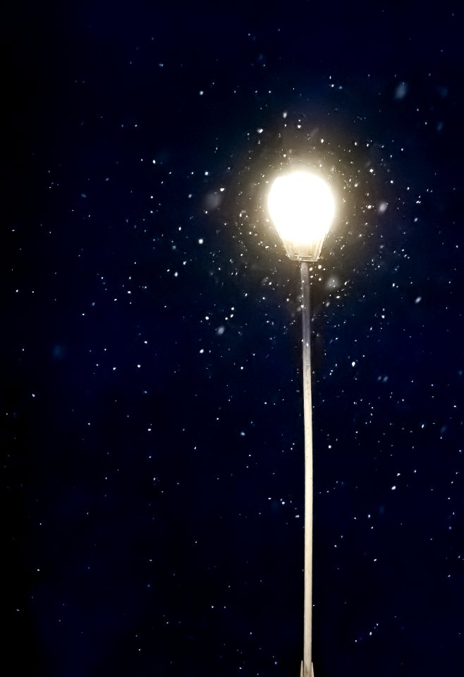 Christmas, City, Street