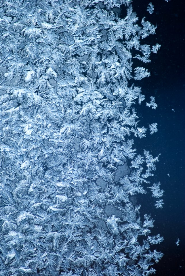 Frost, Winter, Snowflakes