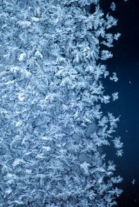 Frost, Winter, Snowflakes