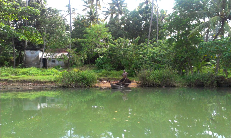 Kerala, India, Nature photo