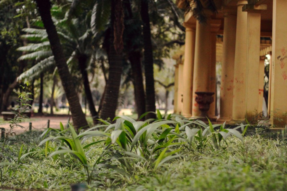 Parque farroupilha, Porto alegre, Brasil
