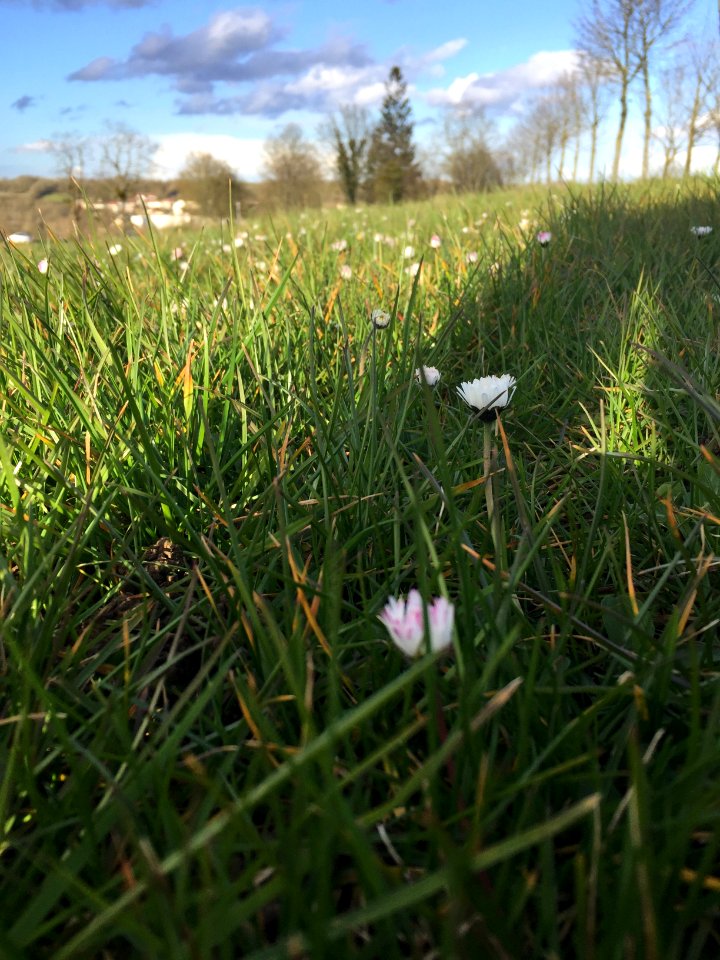 France, Provins, Easter