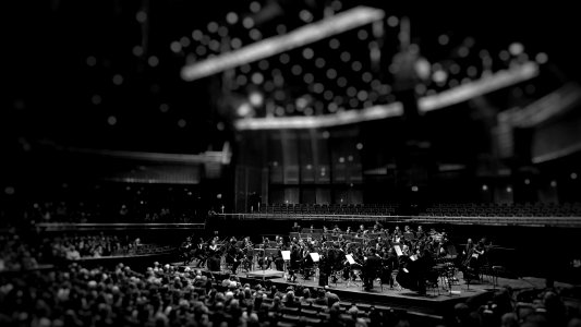 grayscale photography of orchestra playing on theatre photo