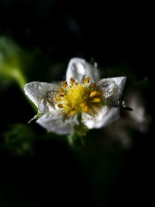 Droplets, Water, Structure