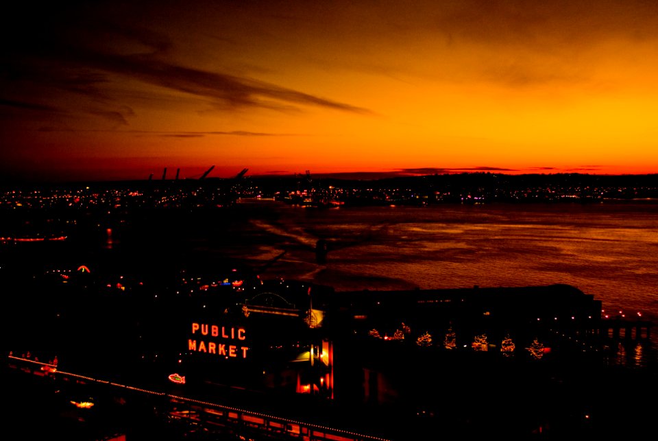 city during golden hour