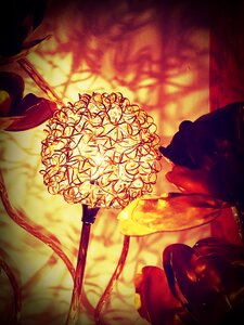Flower leaves dandelion