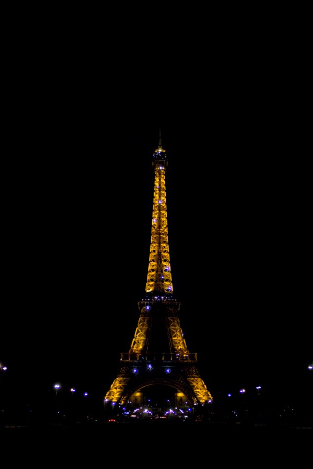 Eiffel Tower during nighttime