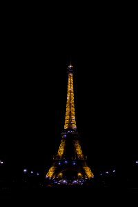 Eiffel Tower during nighttime