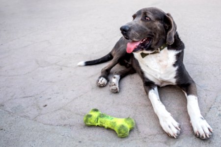 Sayulita, Mexico, Laying down photo