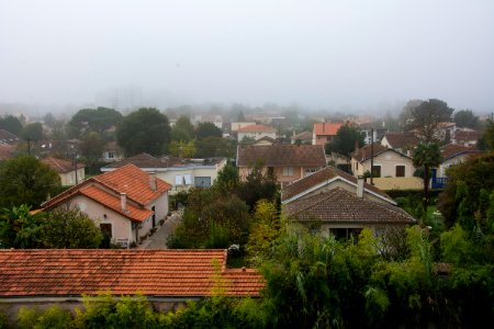 houses surrounded by trees photo