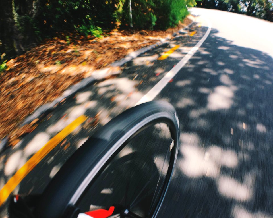 Tamaki drive, Auckl, New zeal