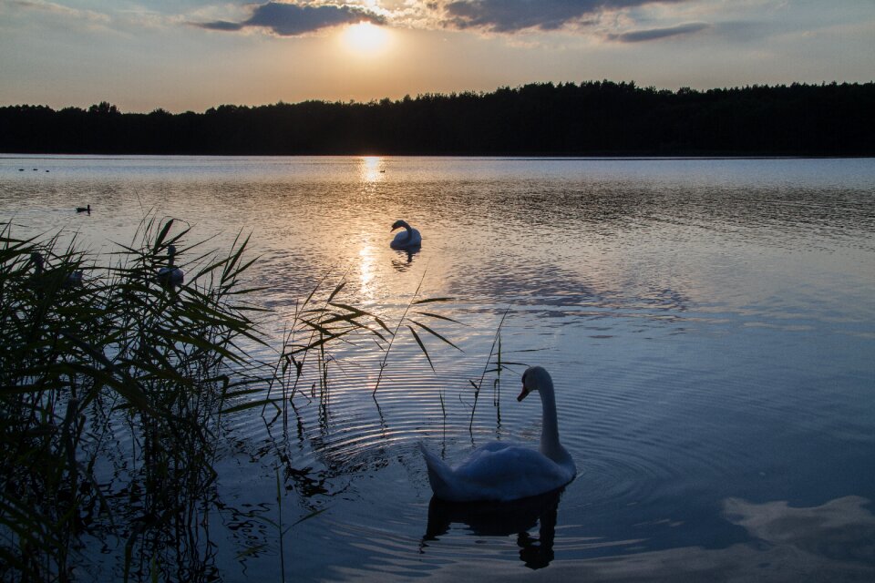 Mood abendstimmung afterglow