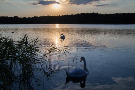 Mood abendstimmung afterglow