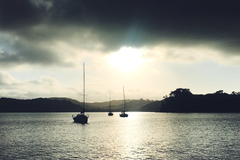 New zeal, Auckl, Sunset