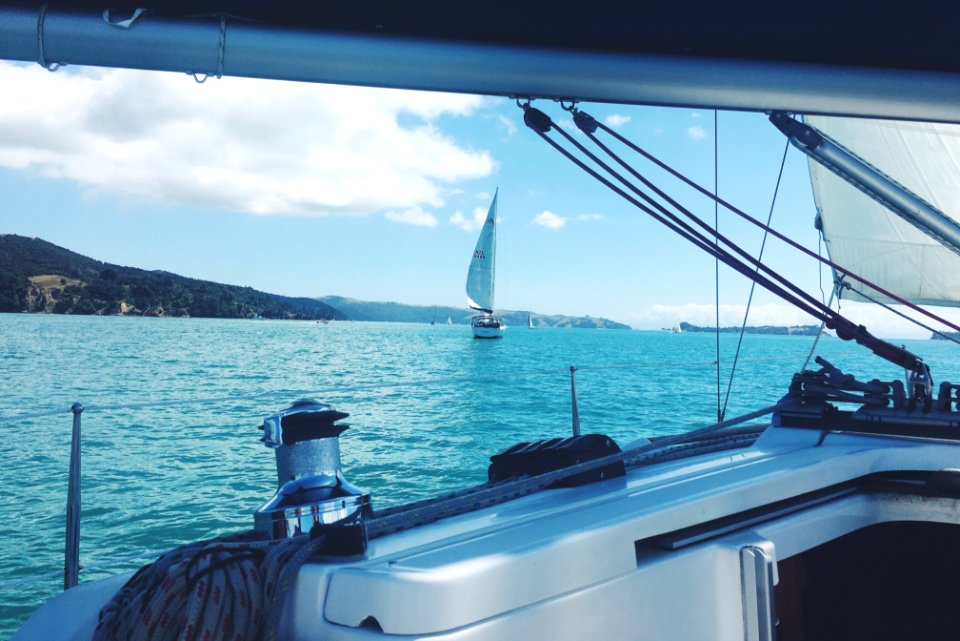 New zeal, Auckl, Waiheke isl