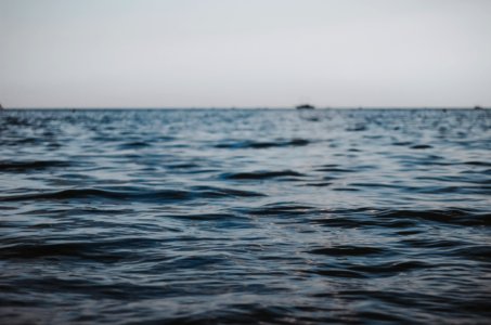 close up photography of body of water photo