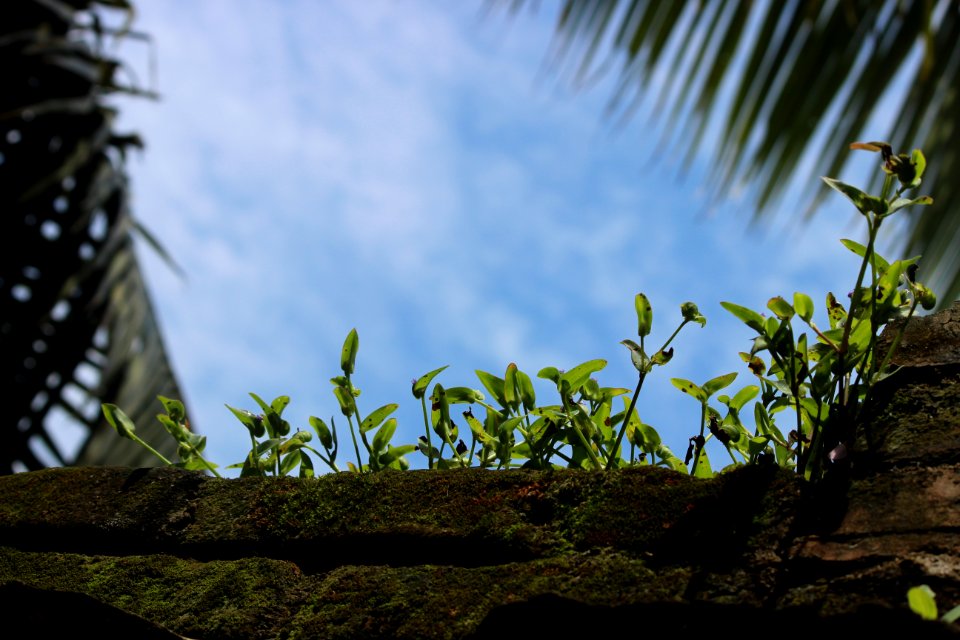 Thoothoor colony link road, Kalingarajapuram, India