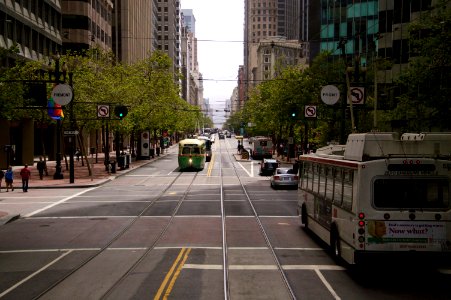 white bus on roadway