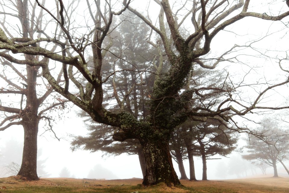 Blacksburg, United states, Moody