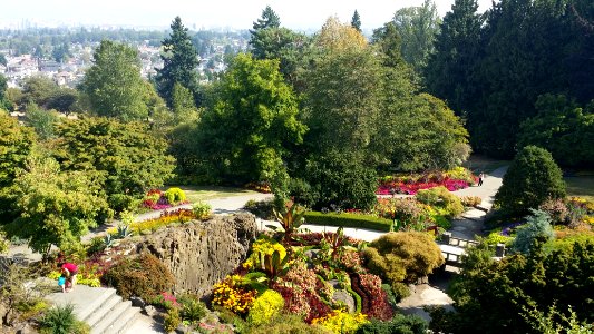Vancouver, Flowers, Garden